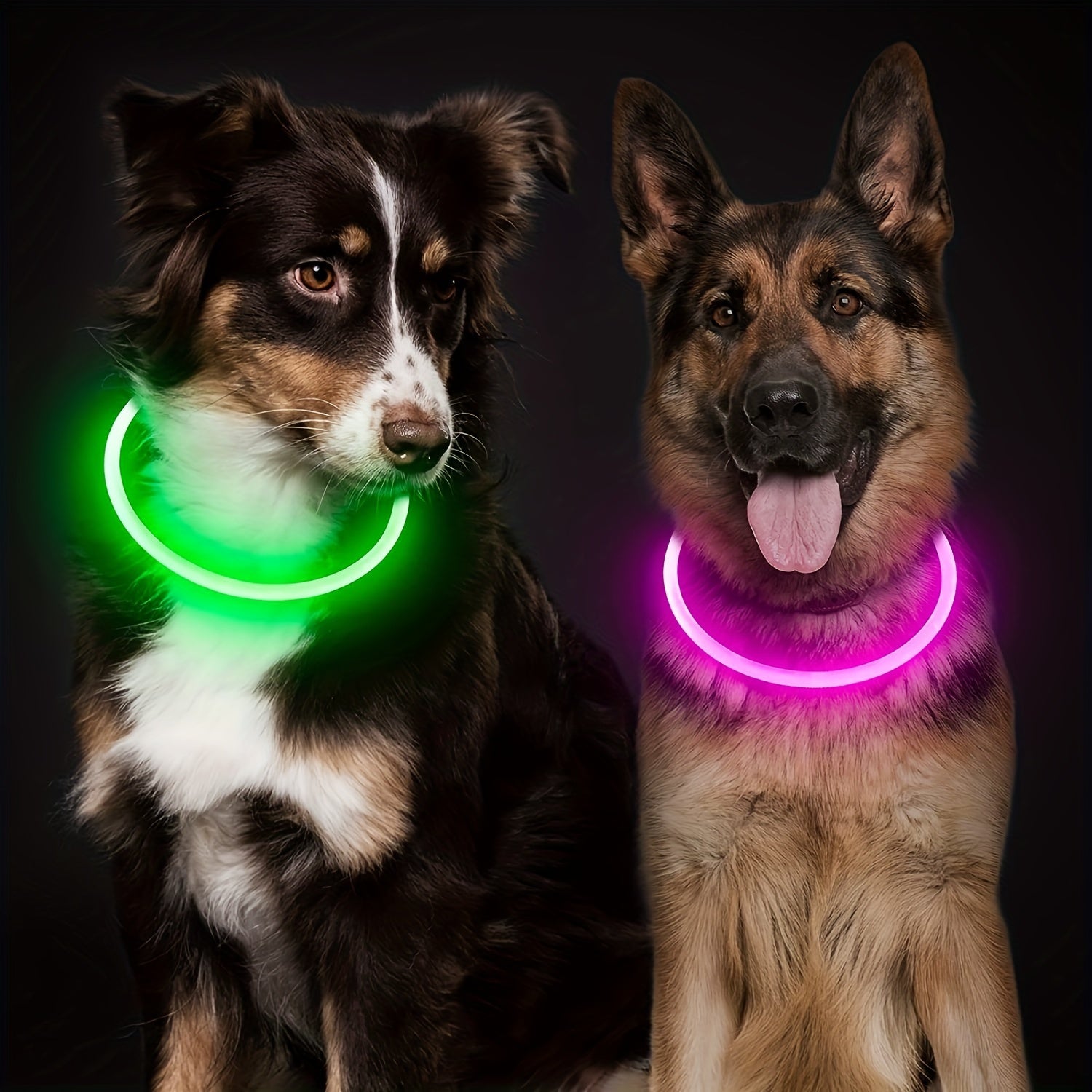 GlowPup™ LED Halsband