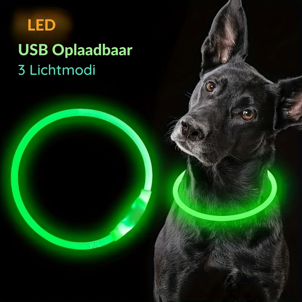 GlowPup™ LED Halsband